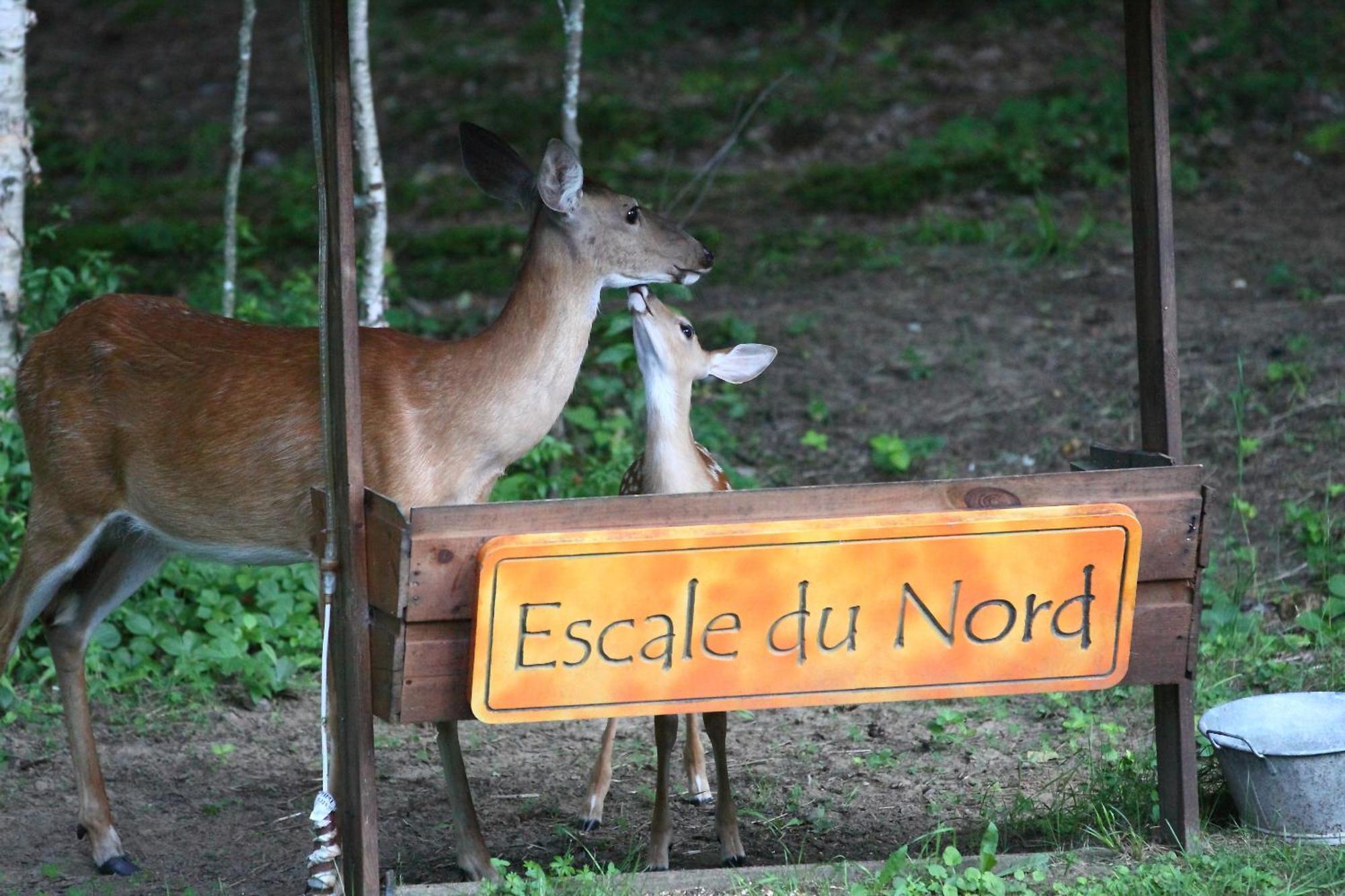 Escale Du Nord Bed and Breakfast Μοντ Τρεμπλάν Εξωτερικό φωτογραφία